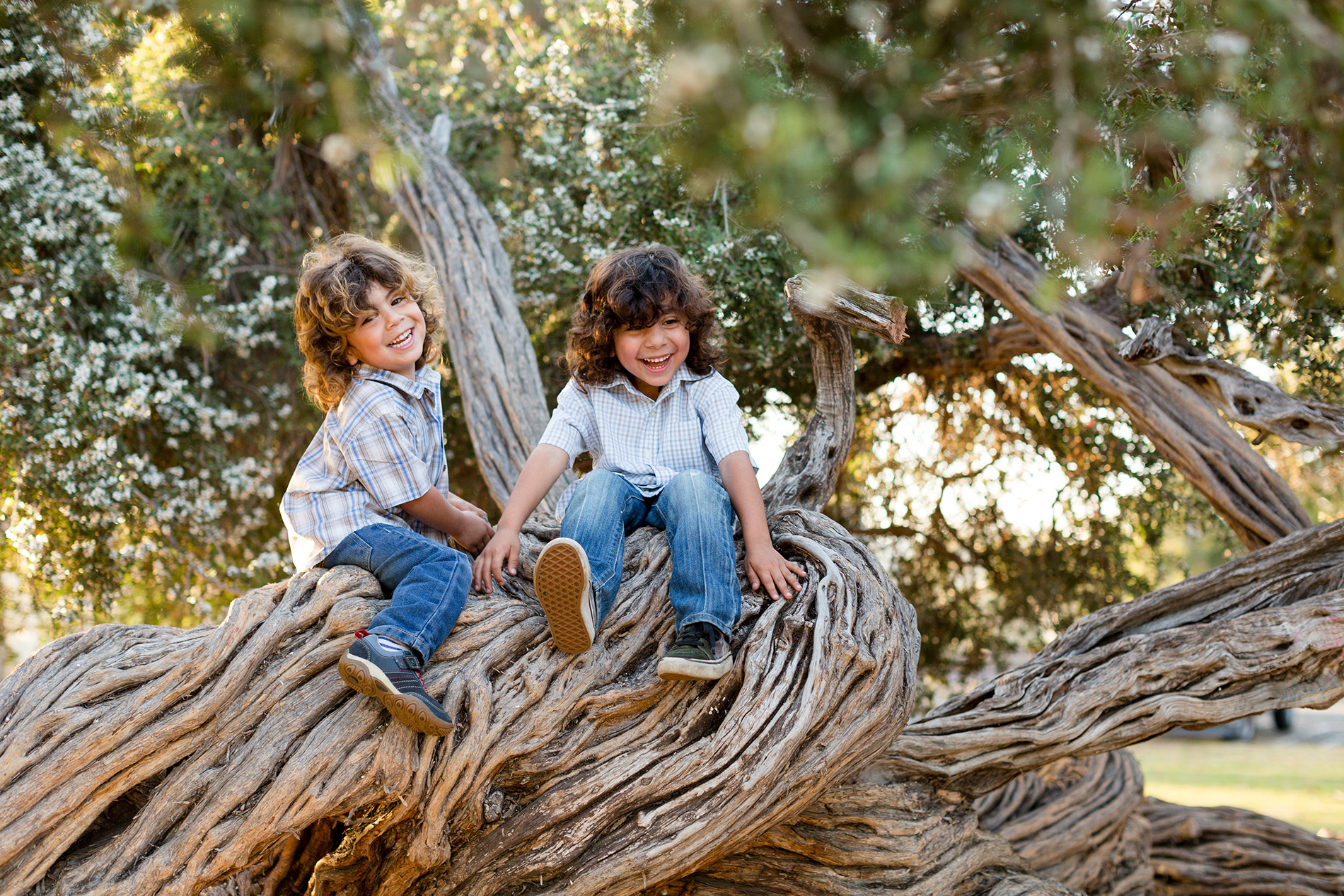 Southern.California.Family.Photographer.Christine.Dammann.Photography.RB7.jpg