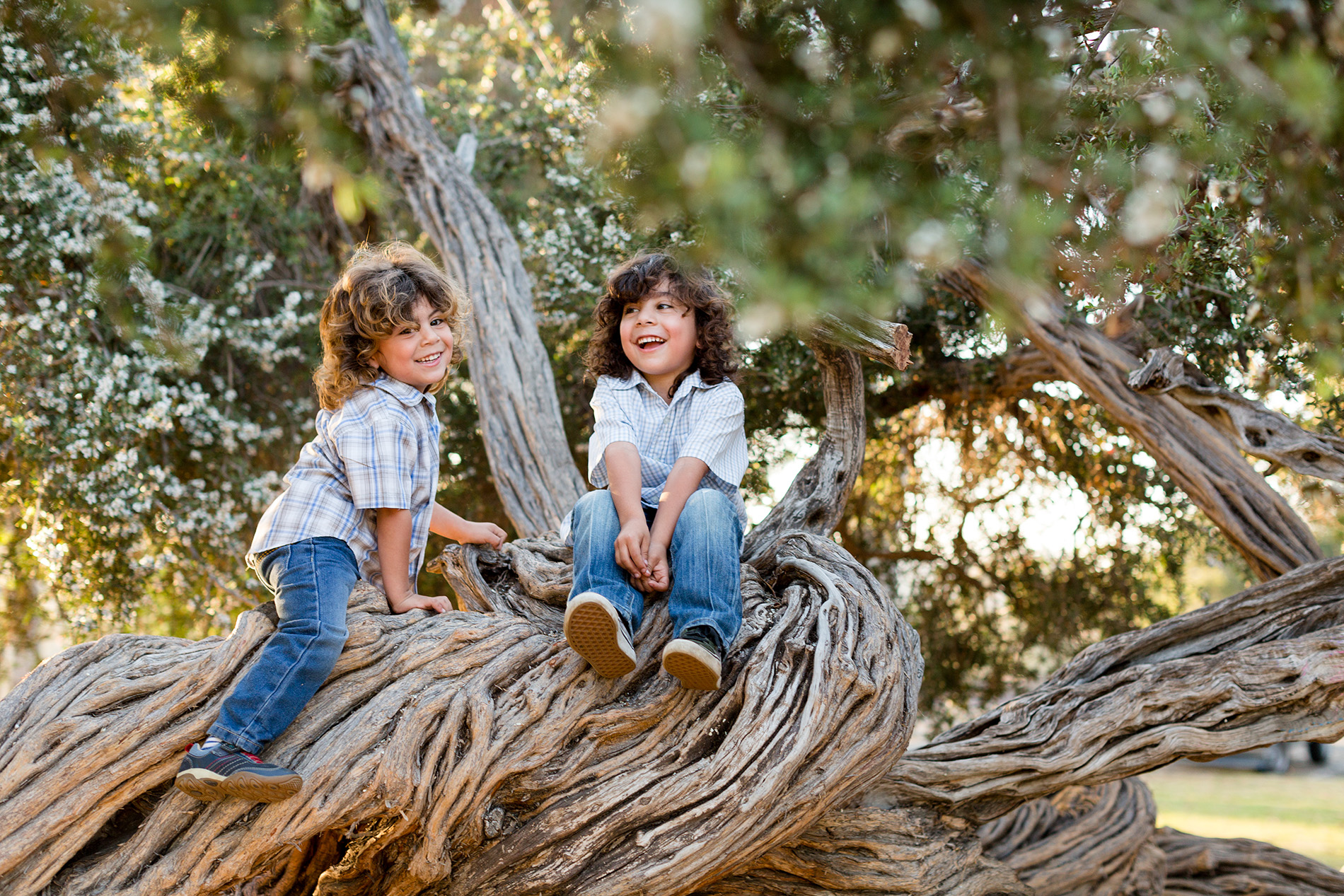 Southern.California.Family.Photographer.Christine.Dammann.Photography.RB9.jpg