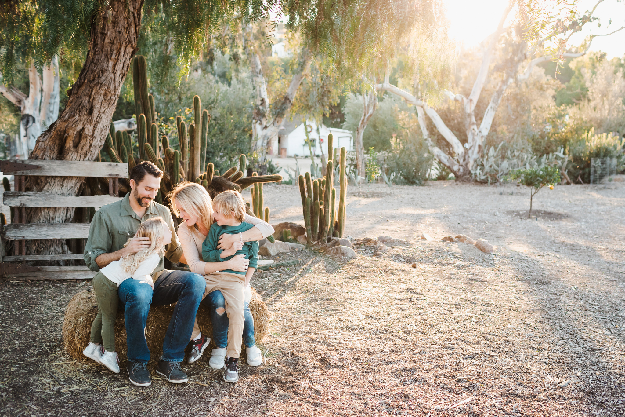 a family of four sits together on a log at Leo Carrillo Ranch in Carlsbad during their family photography session with Christine Dammann