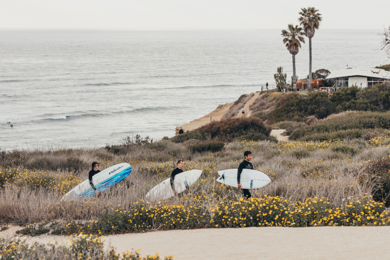 Surfers walking through coastal trail with boards, ocean view and wildflowers, calm overcast beach scene